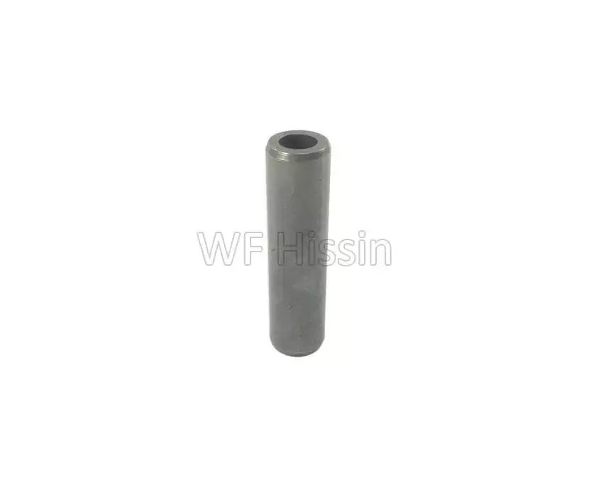Intake valve guide New Holland 4100